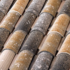 CURVA_MEDITERRANEA_300x300