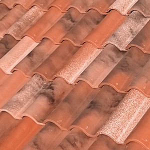MIXTA_CASTILLA_300x300