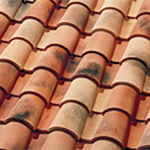 MIXTA_VILATERRA_300x300