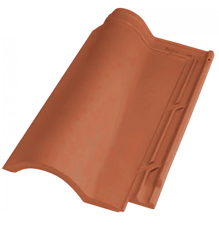 TB_12_ROJA_768x845